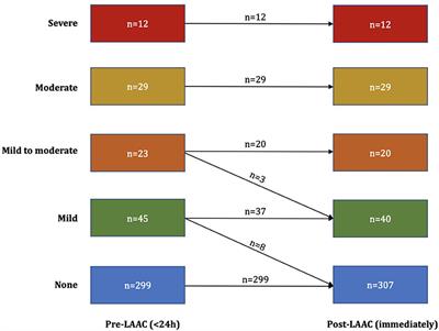 Left Atrial Spontaneous Echo Contrast and Ischemic Stroke in Patients Undergoing Percutaneous Left Atrial Appendage Closure